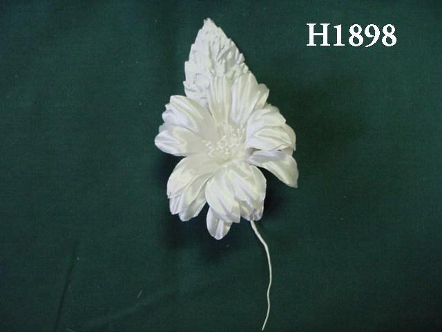 H1898