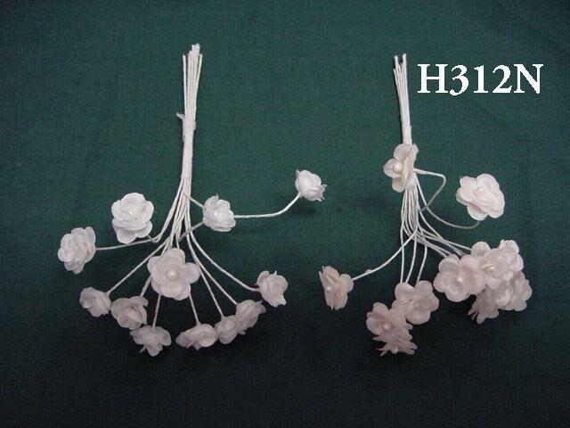 H312N