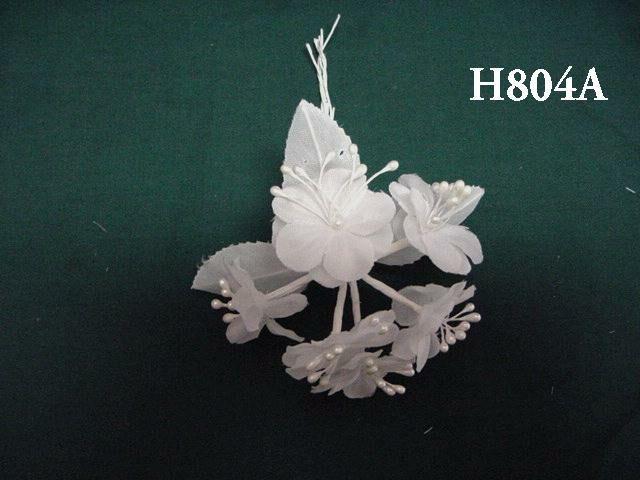 H804A