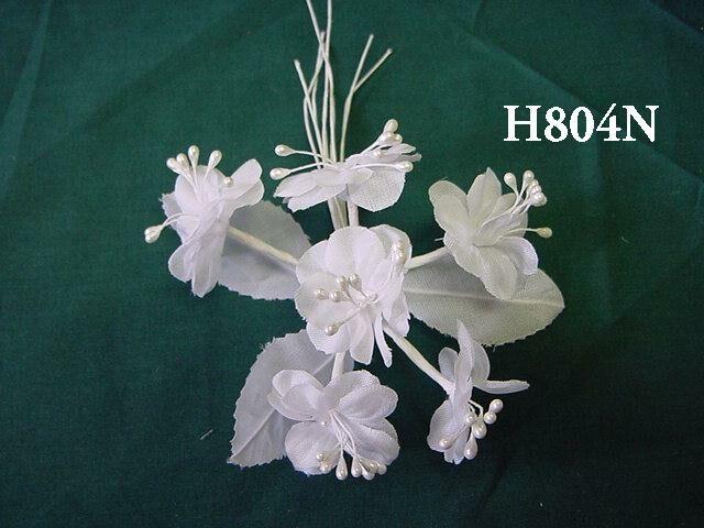 H804N