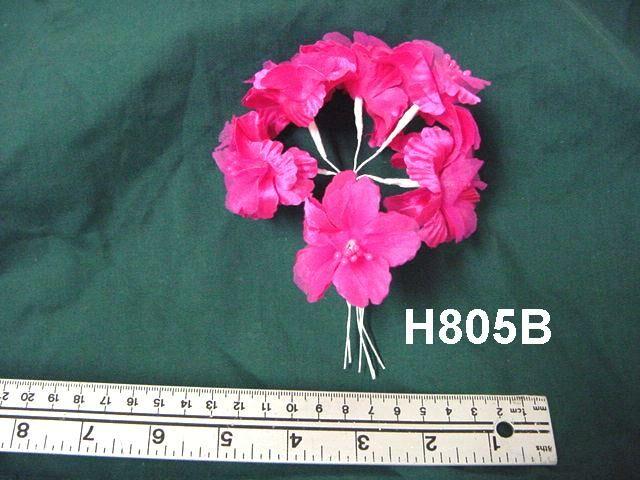 H805B