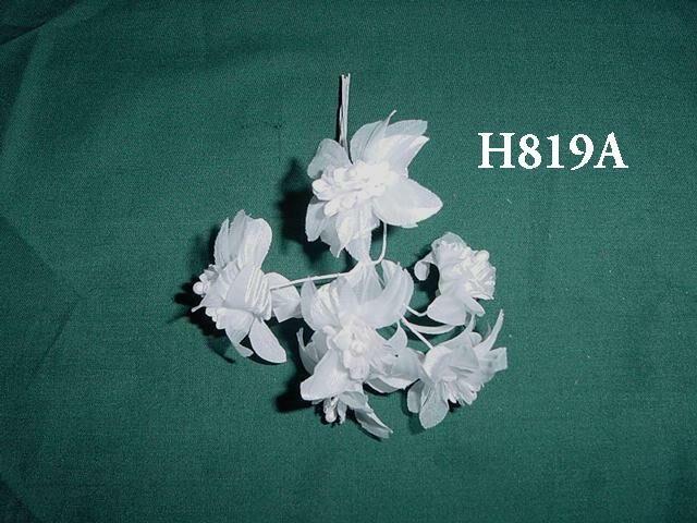 H819A