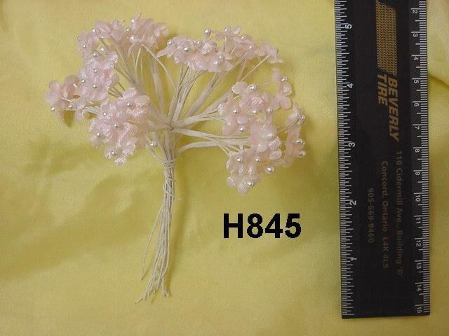 H845