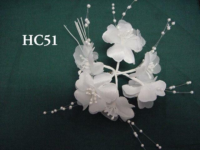 HC51