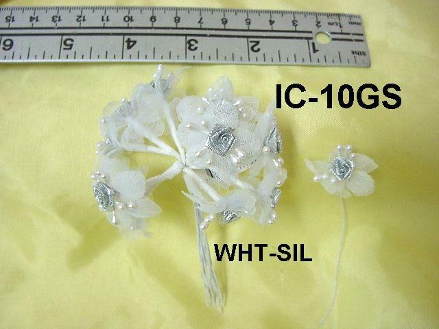 IC-10GS