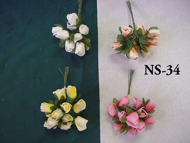 NS-34