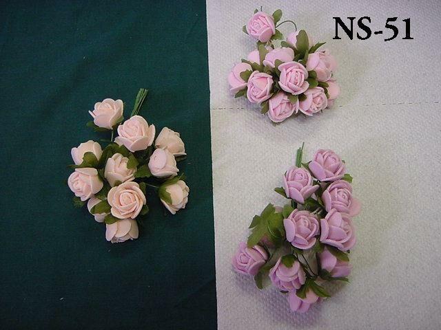 NS-51