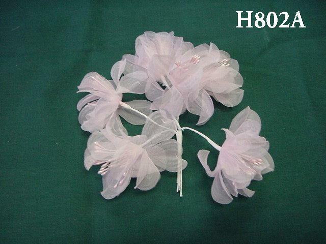 H802A