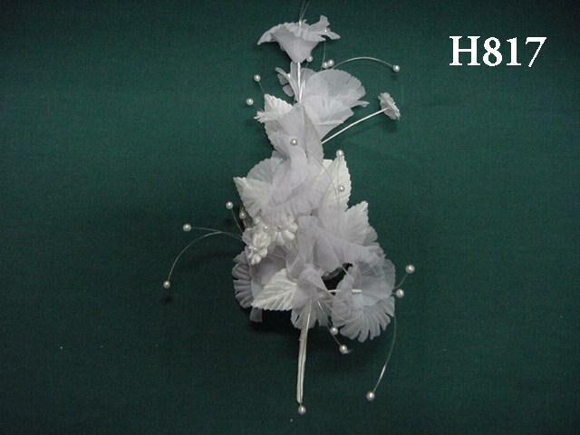 H817