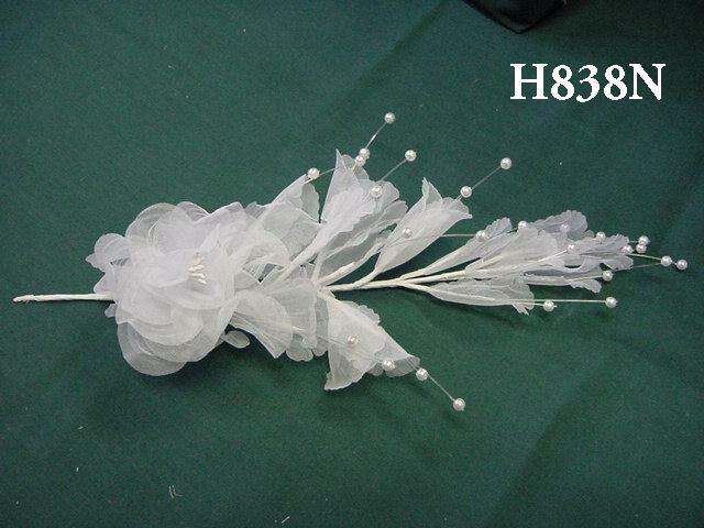 H838N