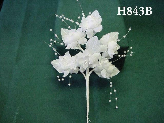 H843B