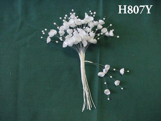H807Y