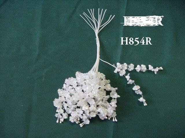 H854R