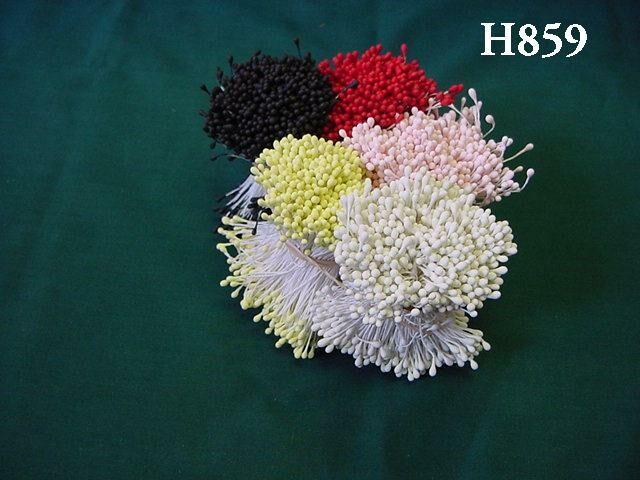 H859