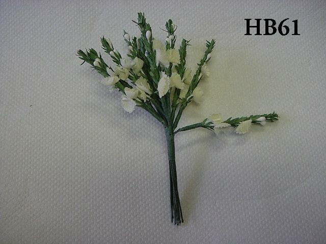 HB61