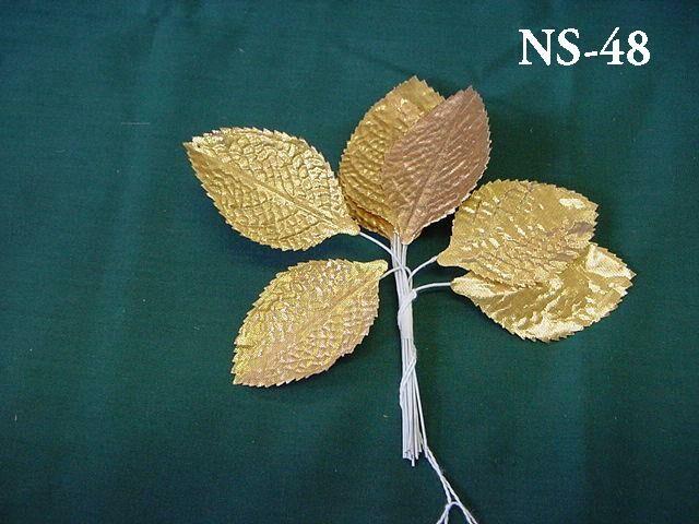 NS-48