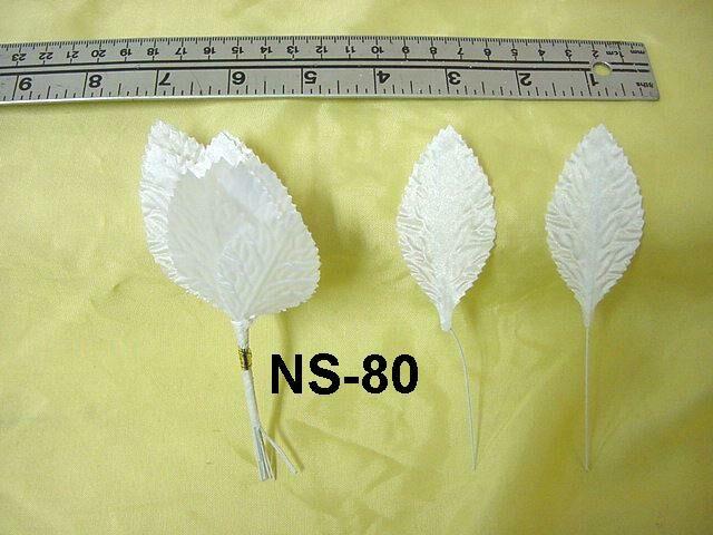 NS-80