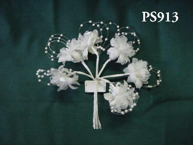 PS913