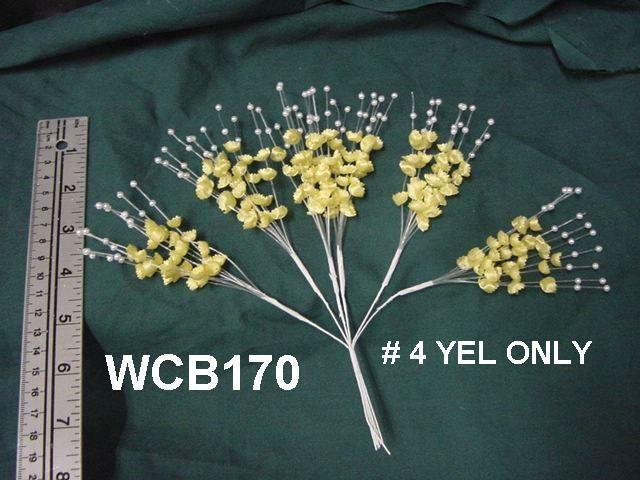 WCB170