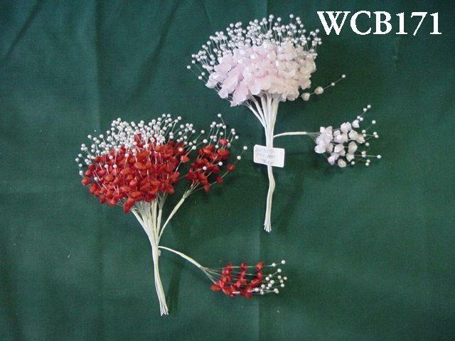 WCB171