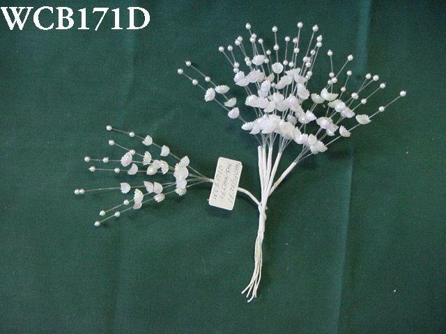 WCB171D