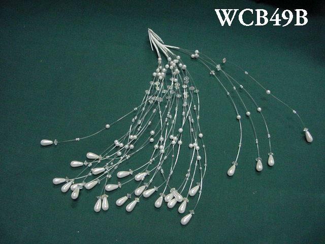 WCB49B