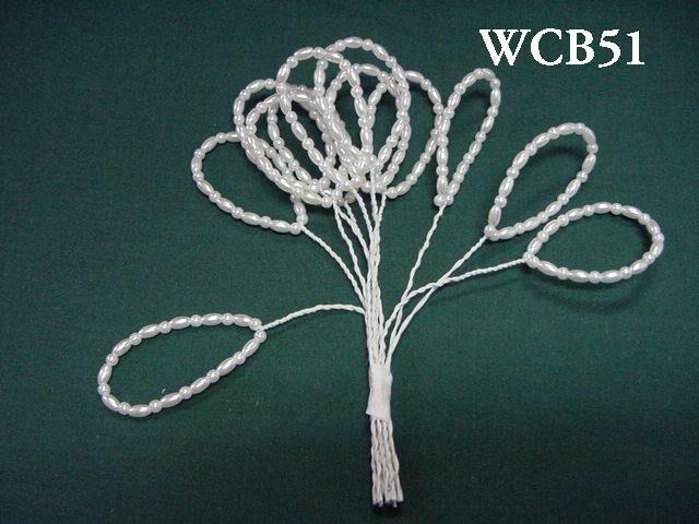 WCB51