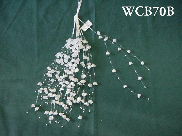 WCB70B