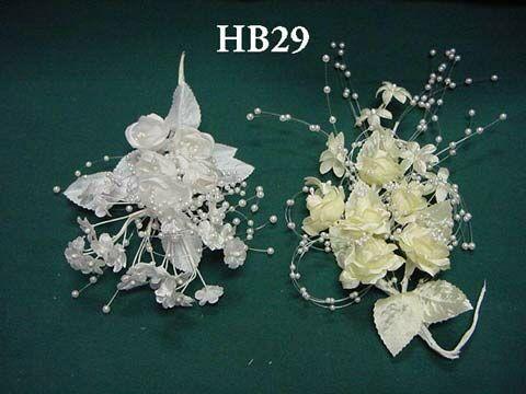 HB29