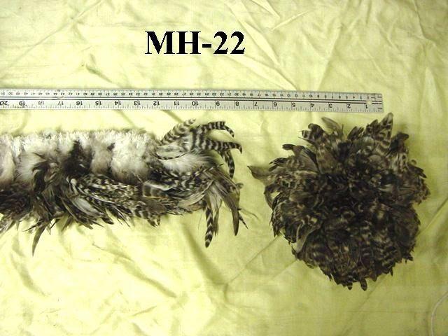 MH-22