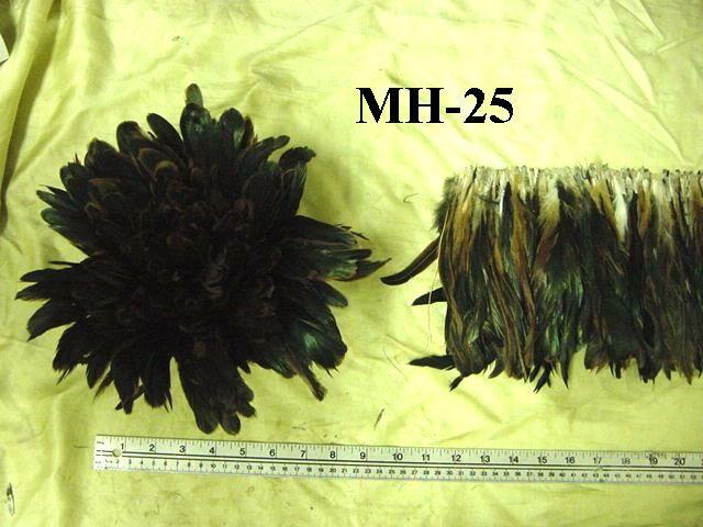 MH-25