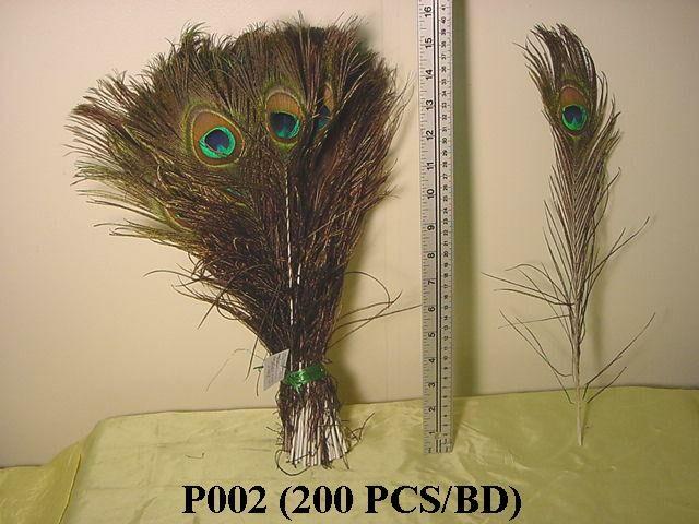P002