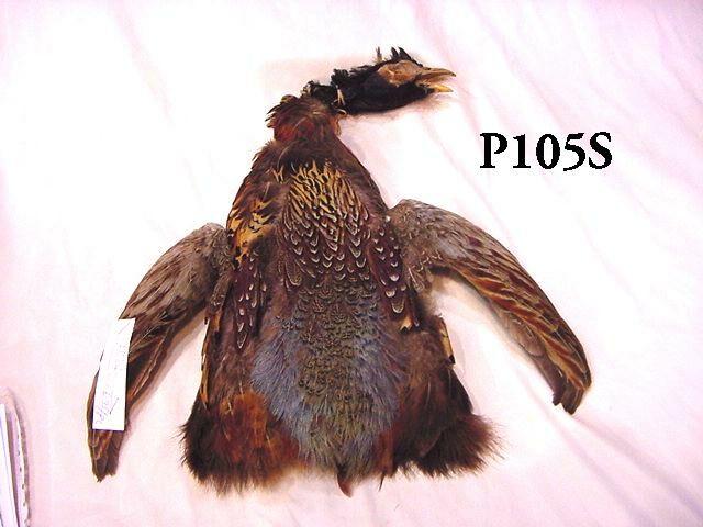 P105S