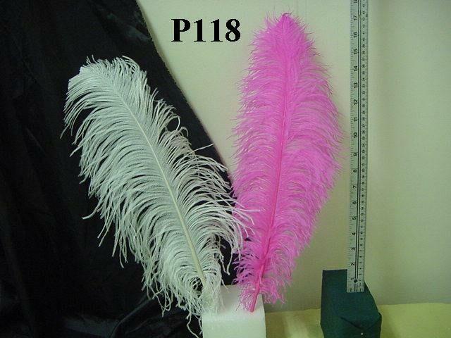 P118