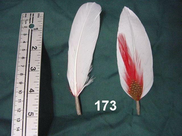 173