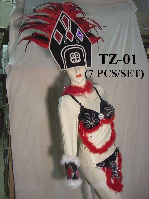 TZ-01