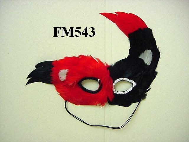 FM543