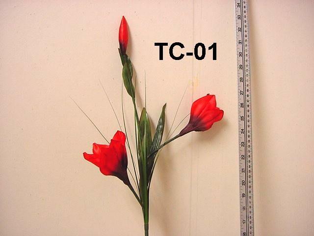 TC-01