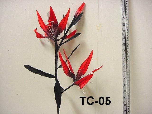 TC-05