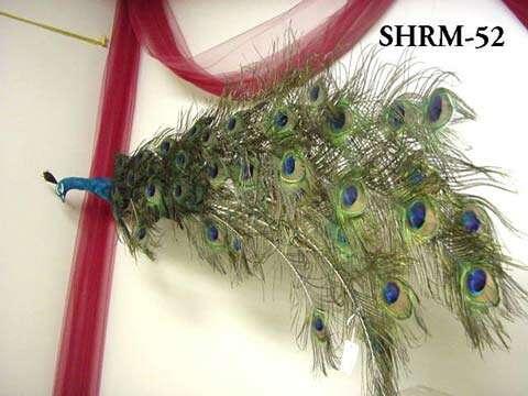 Showroom SHRM-52