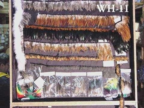 Showroom WH-11