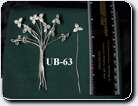 UB-63